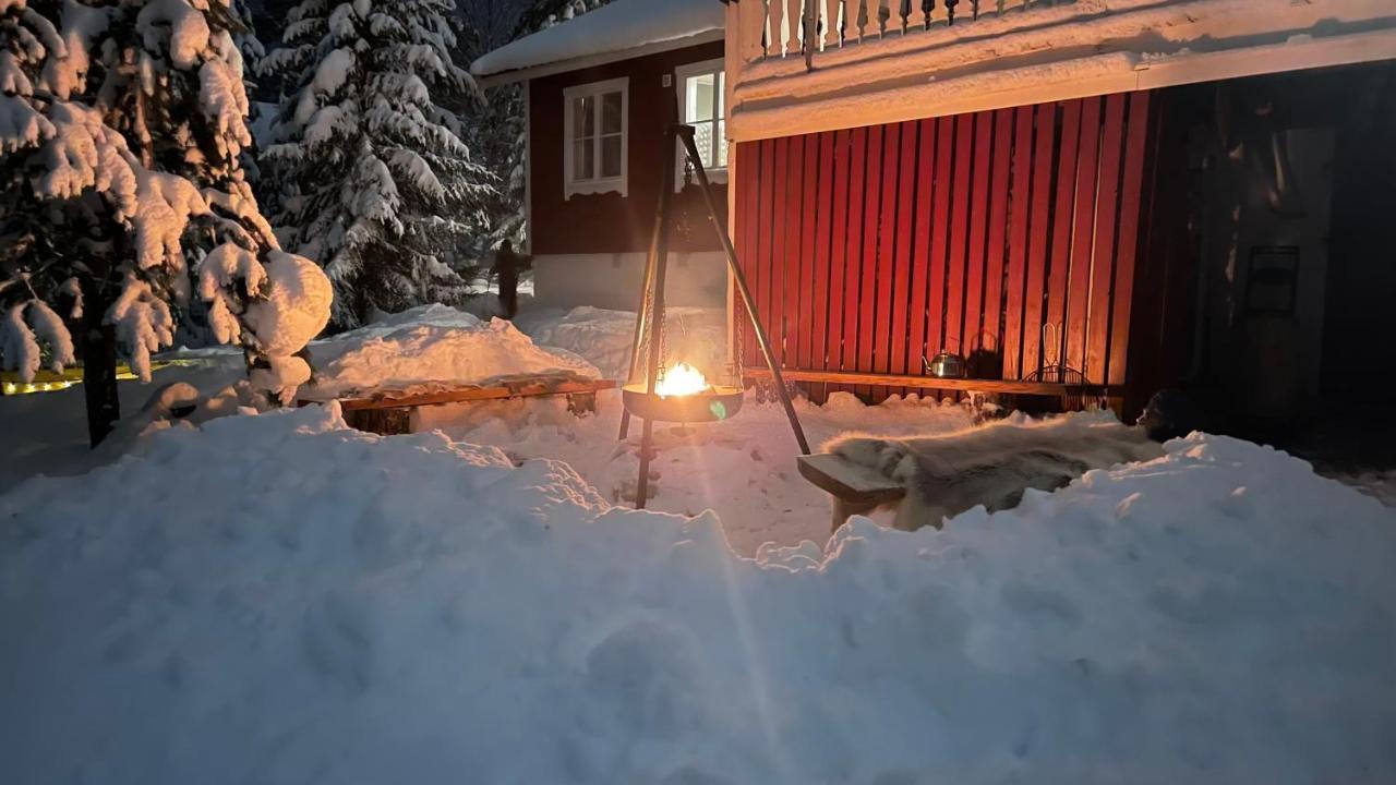 Mountain Cabin Lofsdalen Exterior foto