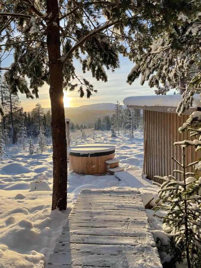 Mountain Cabin Lofsdalen Exterior foto