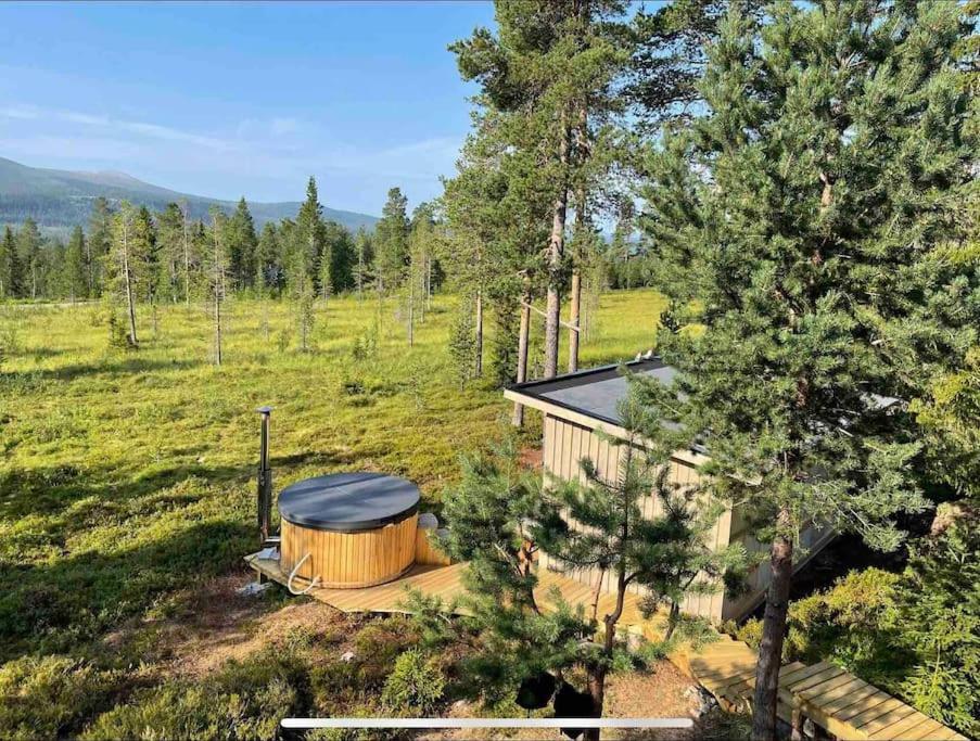 Mountain Cabin Lofsdalen Exterior foto