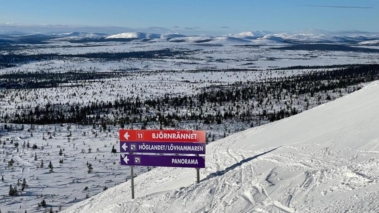 Mountain Cabin Lofsdalen Exterior foto