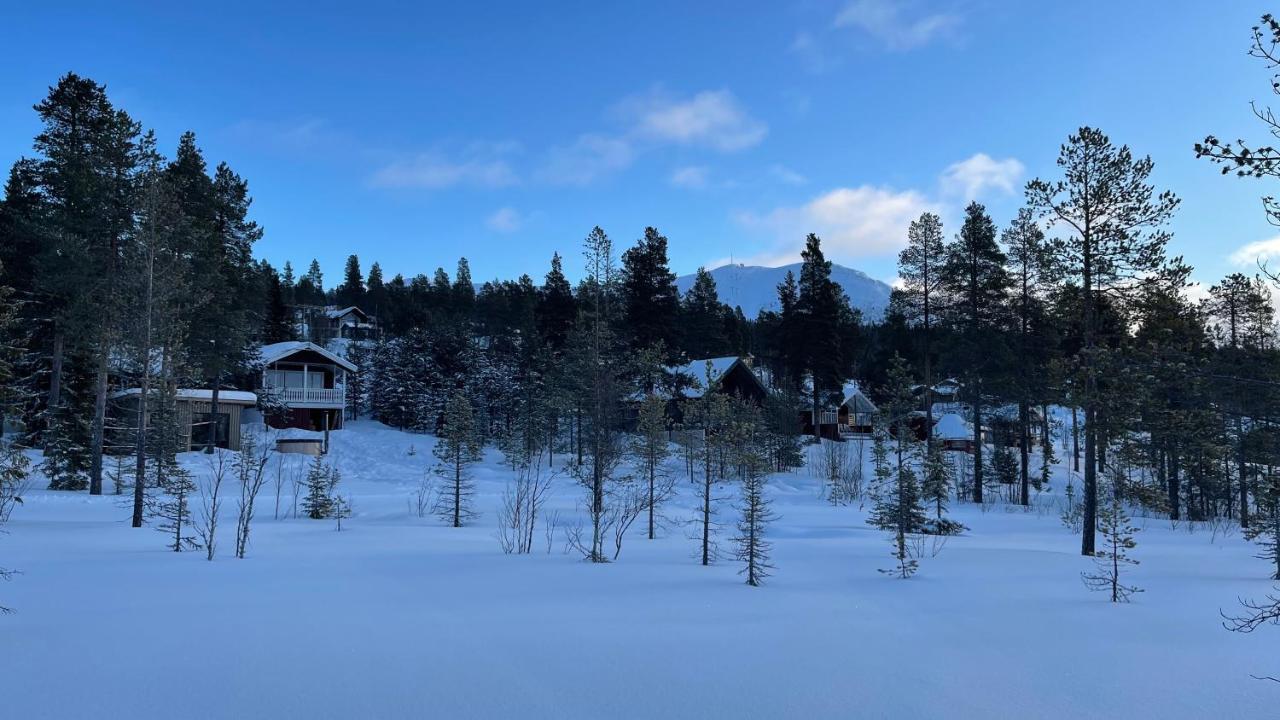 Mountain Cabin Lofsdalen Exterior foto