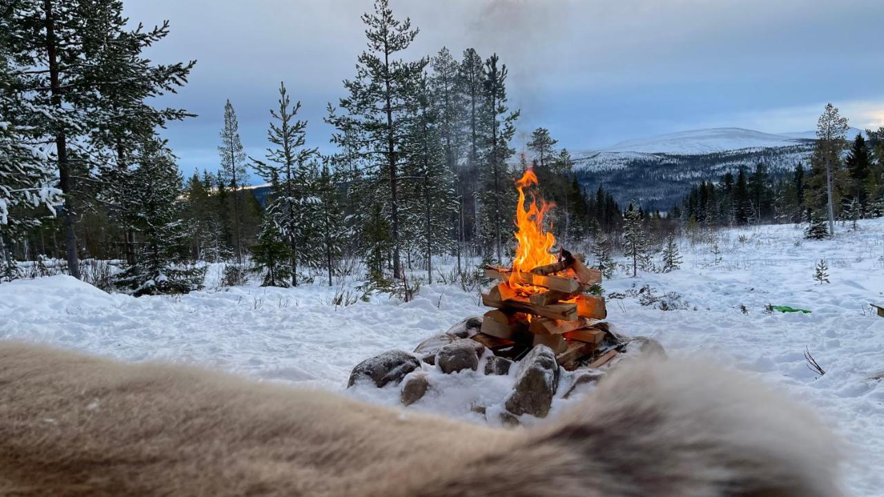 Mountain Cabin Lofsdalen Exterior foto